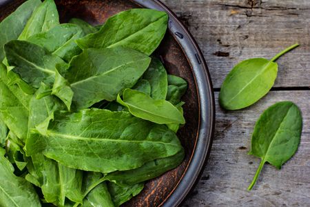 Plate Full Of Sorrel Herbs