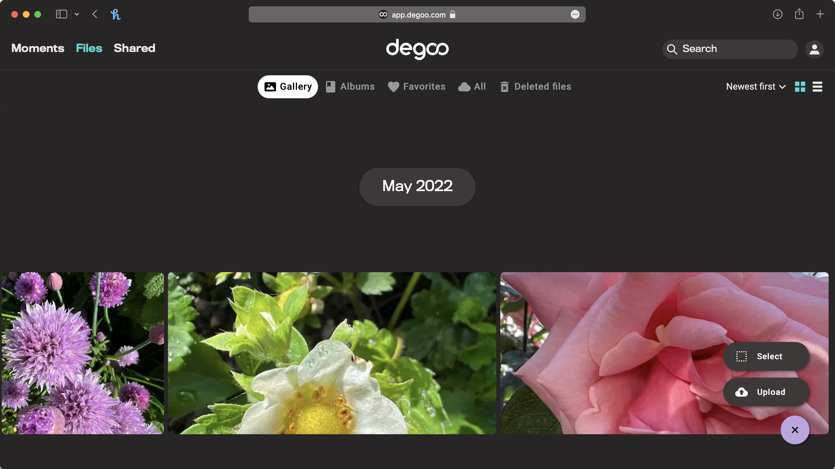 Degoo browser