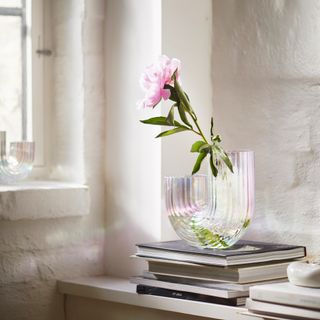 IKEA RAFFELBJORK vase with a single flower, on a side table next to a window