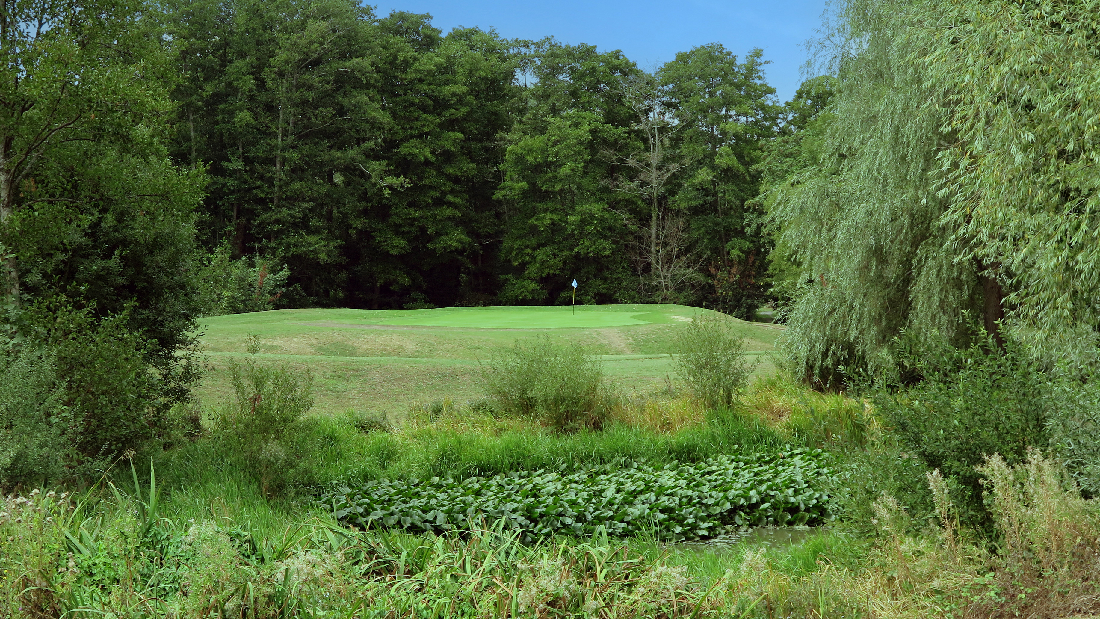 Southwick Park - Hole 7 - RS