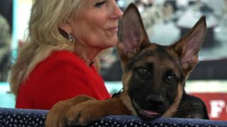 White House dog ‘Commander’ and Dr Jill Biden puppy bowl message