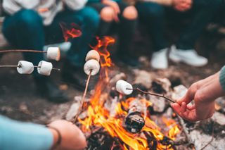 Roasting marshmallows on the fire.