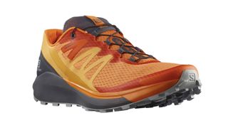 Salomon Sense Ride 4 road to trail running shoe