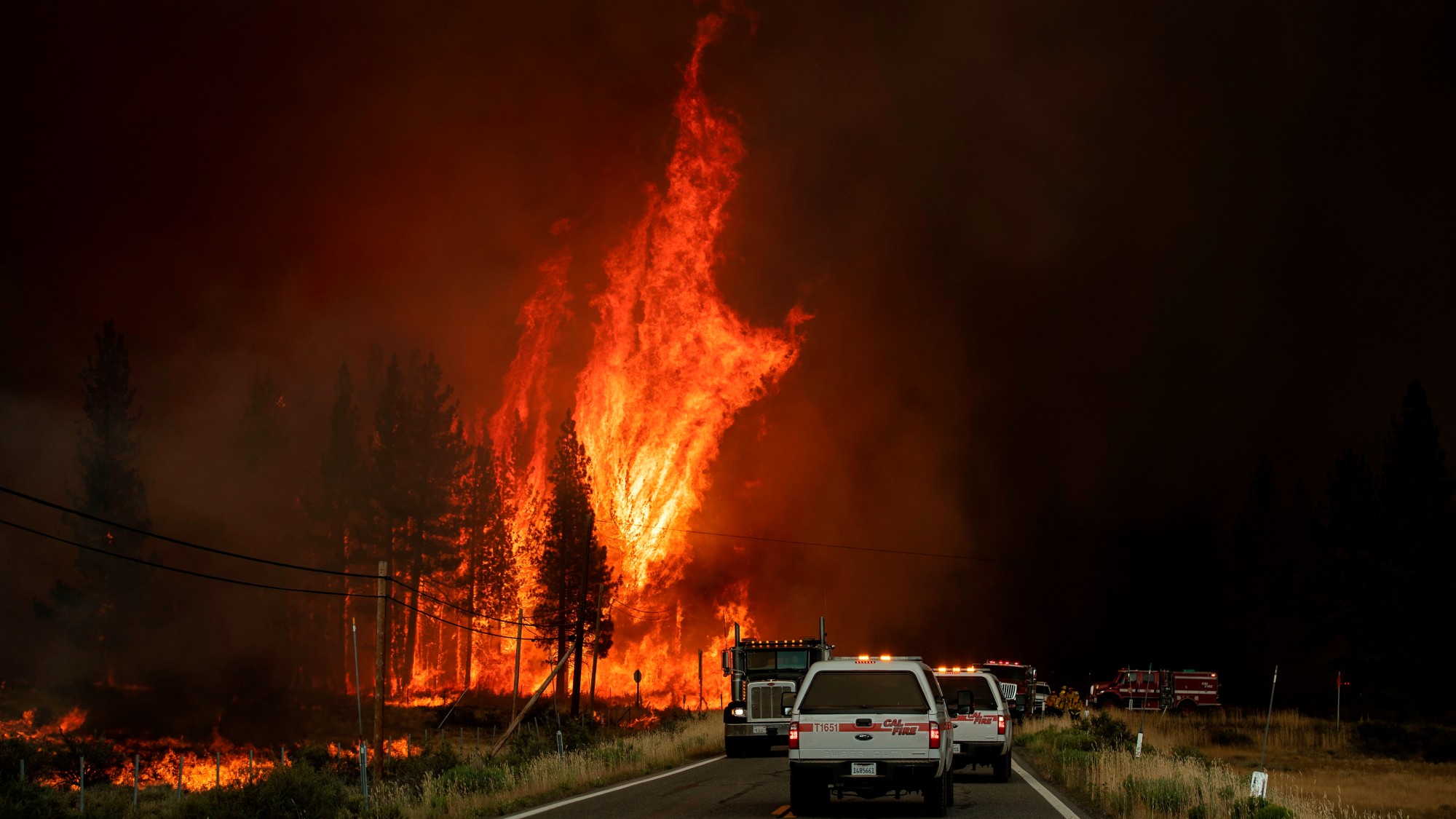 Wildfires
