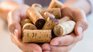 A lady holds a collection of wine corks in her hands