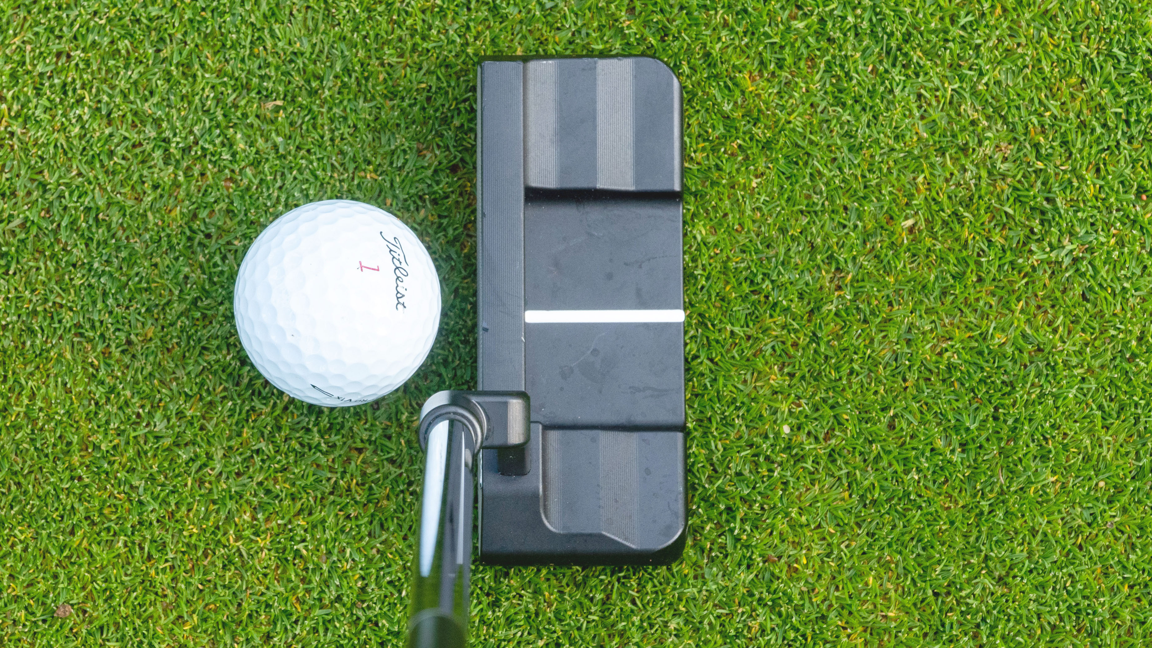 Photo of an blade putter from above