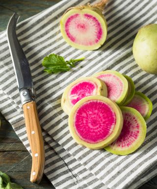 Watermelon radish freshly harvested from September plantings and sliced for a salad