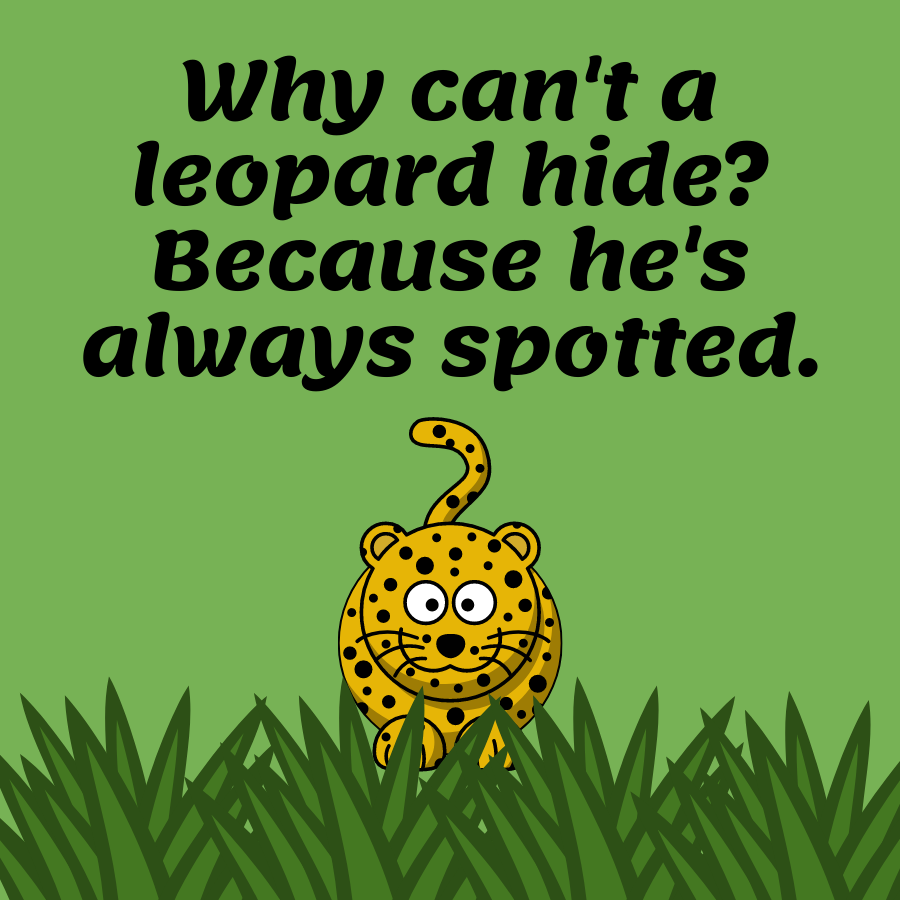 leopard joke for kids