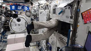 Japanese astronaut Akihiko Hoshide immersed in work at the International Space Station.