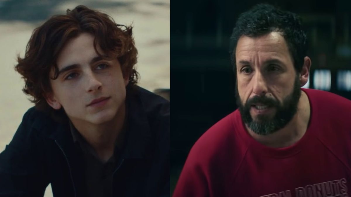 After Roasting Timothée Chalamet At An Awards Show, Adam Sandler And ...