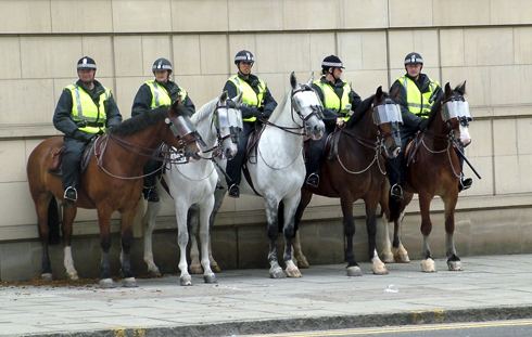 Police-horses.jpg