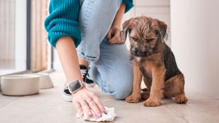 Woman cleaning up floor with dog watching