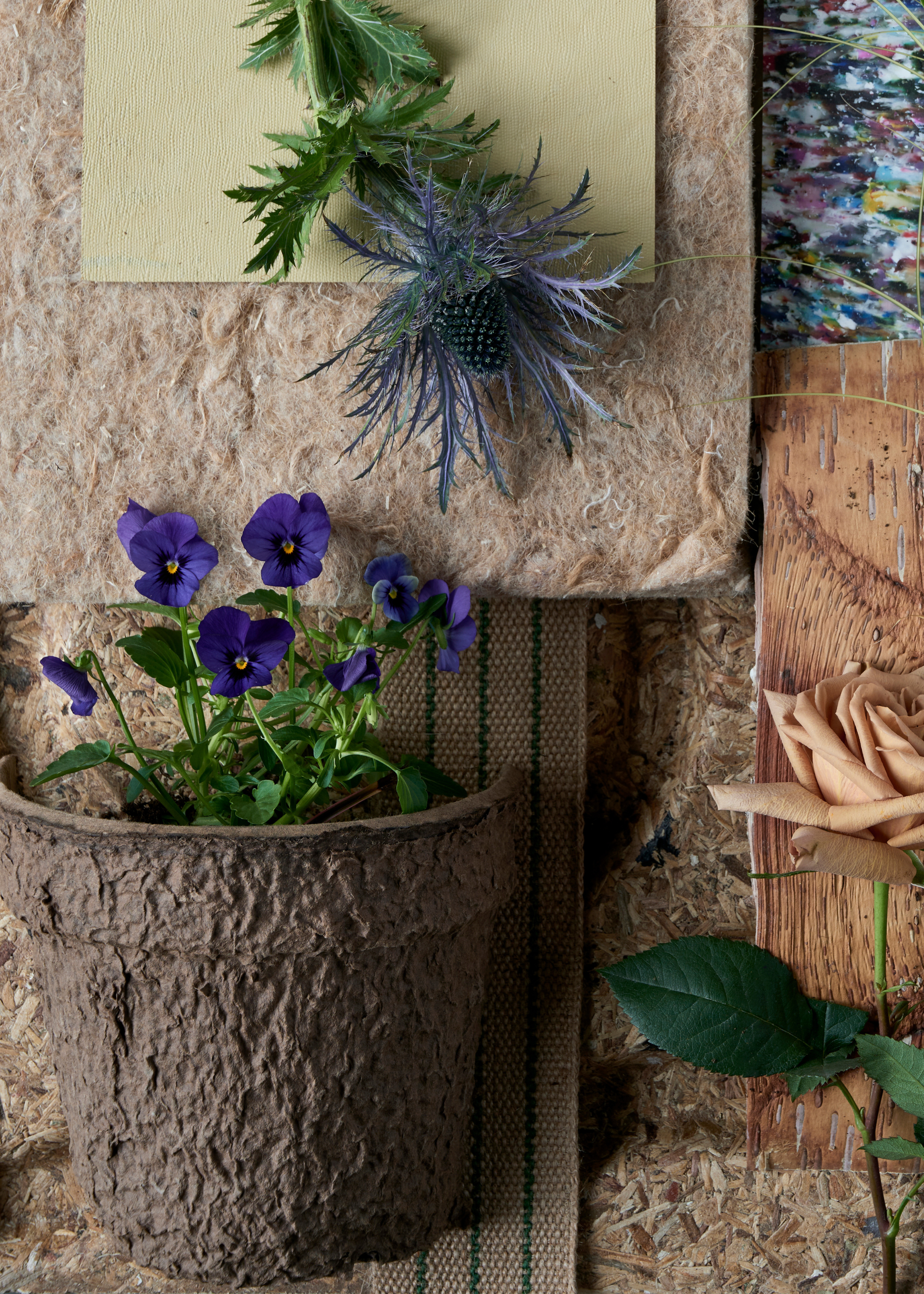 A collage of live flowers, including a textured pot of pansies