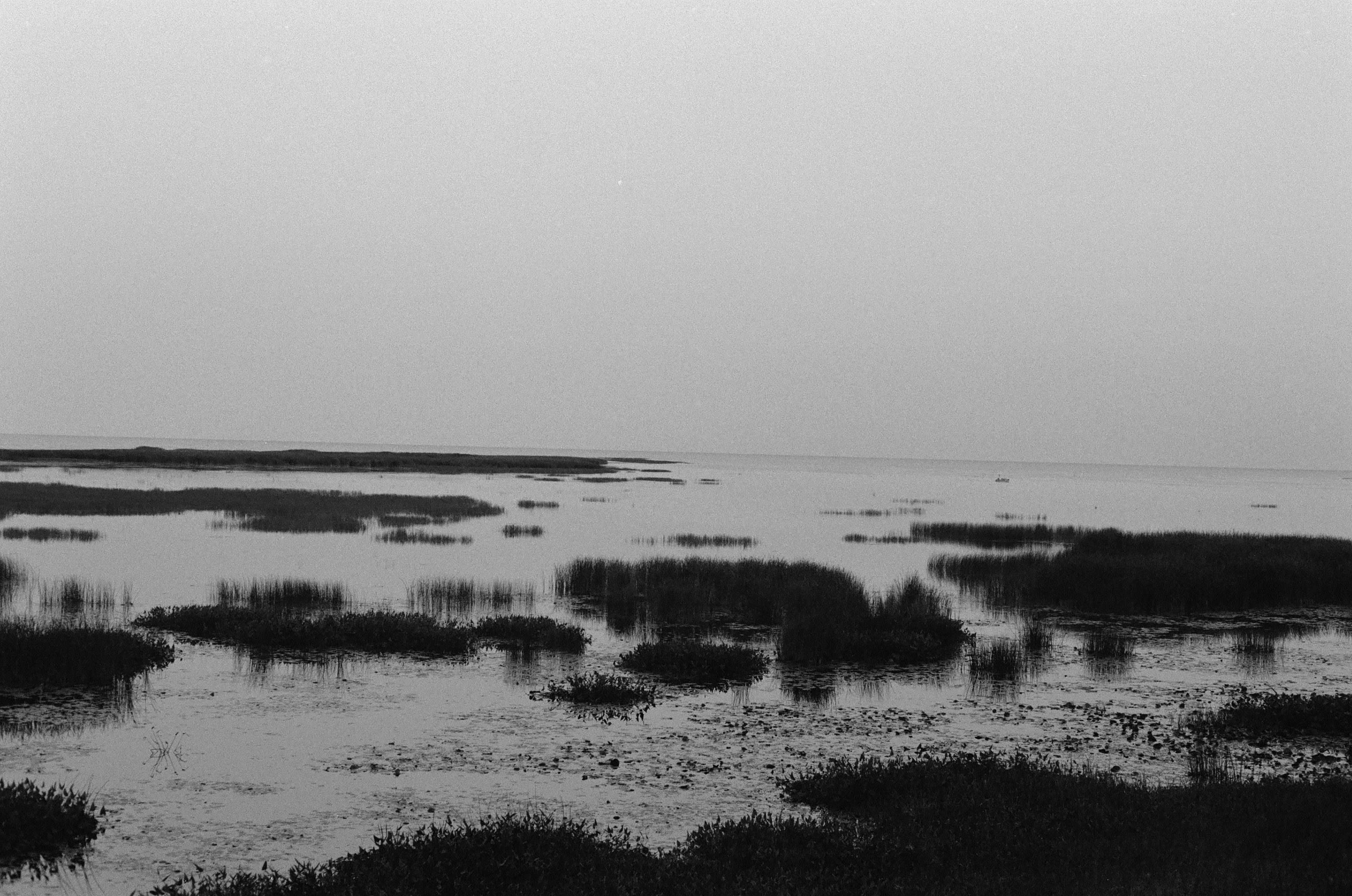 A black and white photograph taken with the Pentax K1000