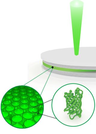 A schematic illustration of a fluorescent protein polariton laser in action. Particles made from a mixture of light and electronic energy are created in a film of green fluorescent protein produced by live cells.