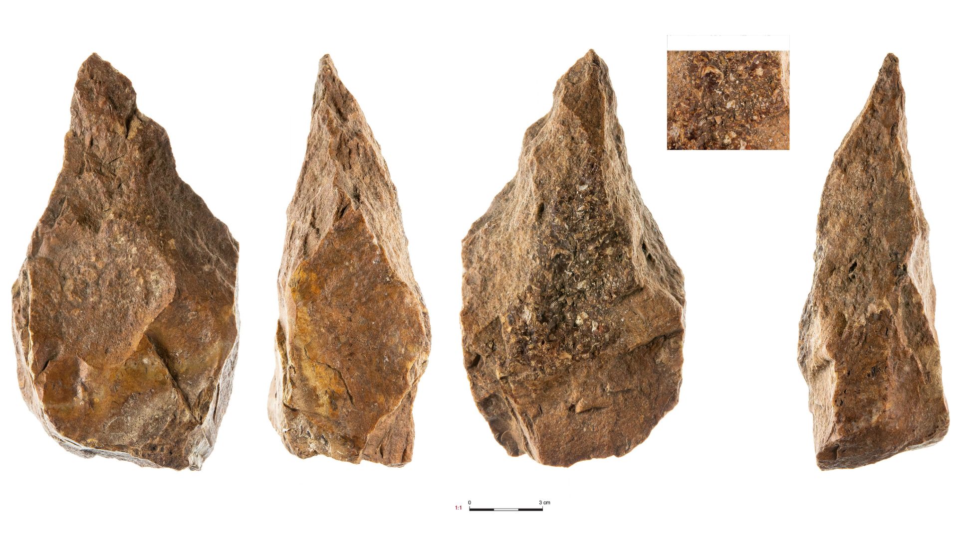 A series of brown pointed rocks seen from different angles against a white background