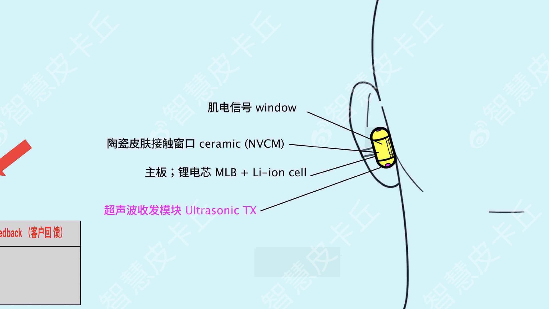 A leaked diagram of OpenAI's wearable 'Sweetpea' project.