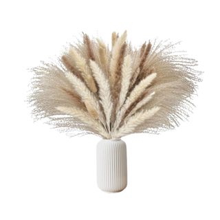 A bunch of pampas grass in a white vase