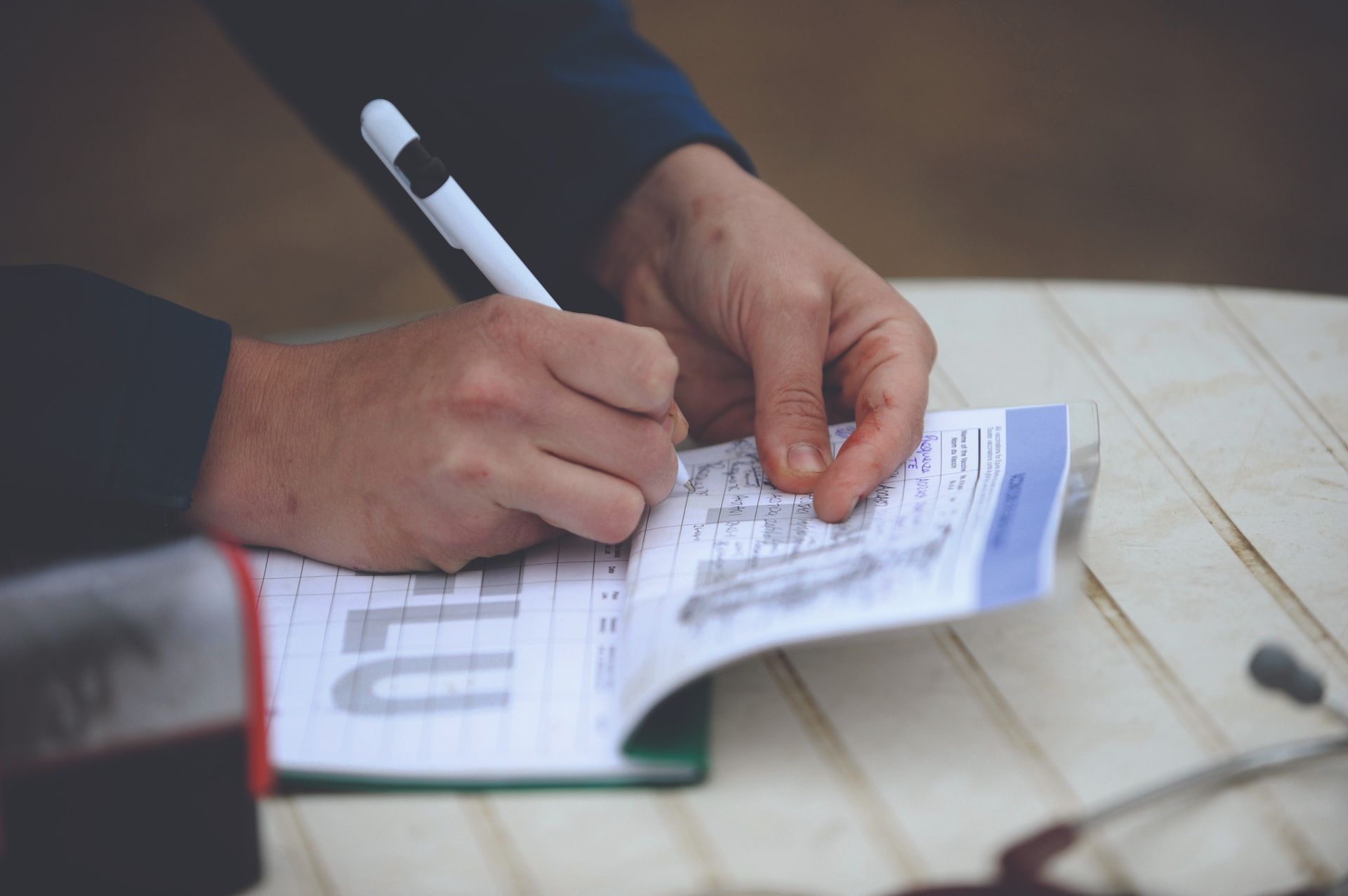 Vet signs a vaccination record in a horse's passport