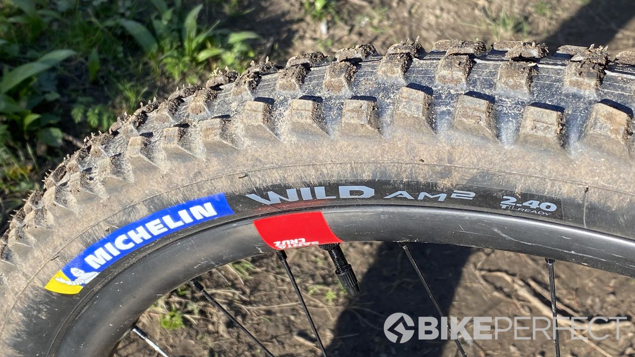 Michelin Wild am2