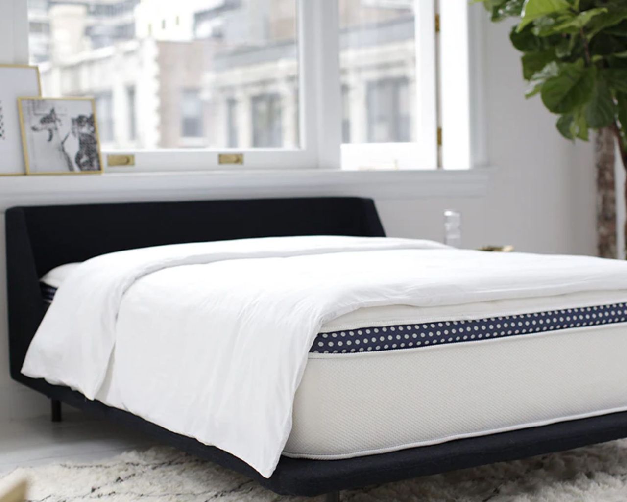 WinkBeds WinkBed Luxury Hybrid Mattress on a black bed in a white bedroom with large windows, black and white rug, black and white pictures in gold frames, and a large houseplant.