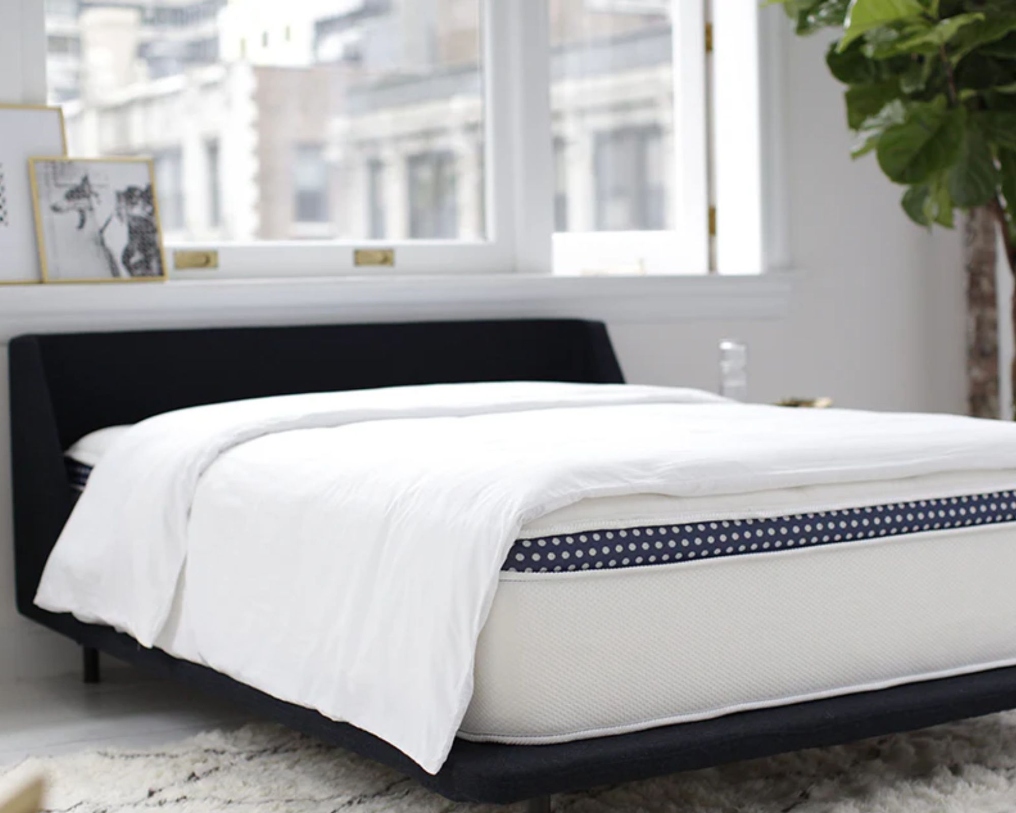 WinkBeds WinkBed Luxury Hybrid Mattress on a black bed in a white bedroom with large windows, black and white rug, black and white pictures in gold frames, and a large houseplant.