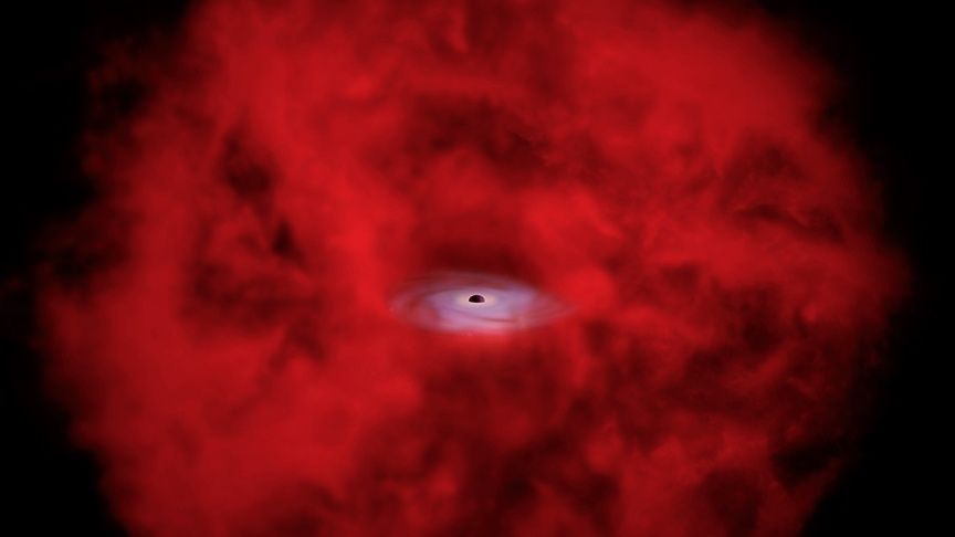 James Webb Space Telescope's strange little red dots may really be 'black hole stars', X-ray data suggests