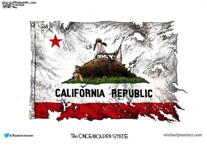 Political Cartoon U.S. Democrats California