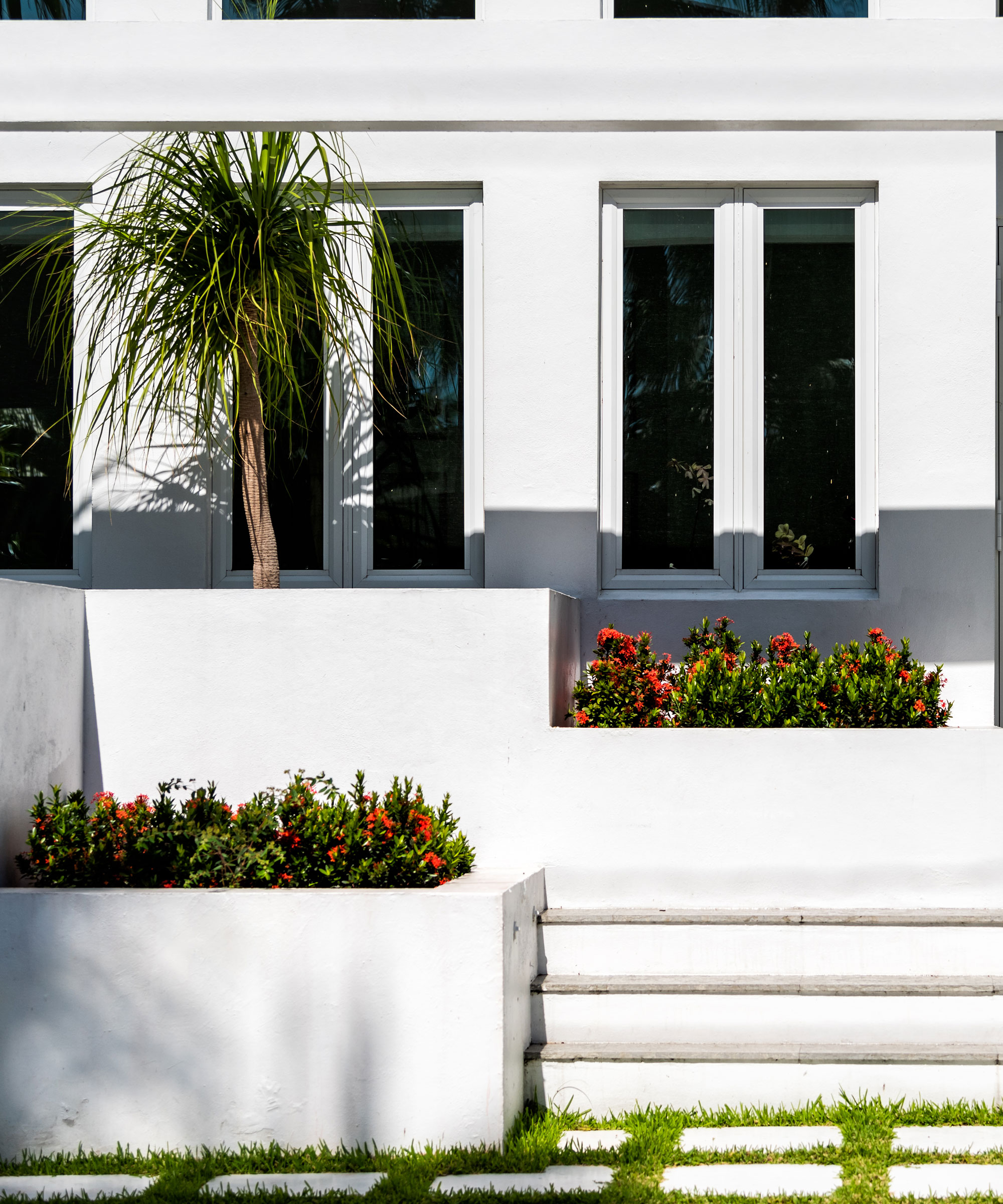 raised planters in small backyard with steps