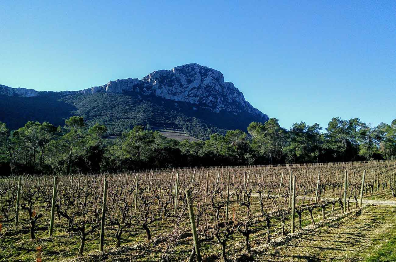 Domaine de l&rsquo;Hortus