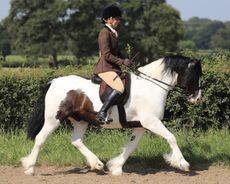 Cally Humphreys overcomes her anxiety to qualify coloured gelding Fouche&rsquo;s Wizard of Oz for the Royal International