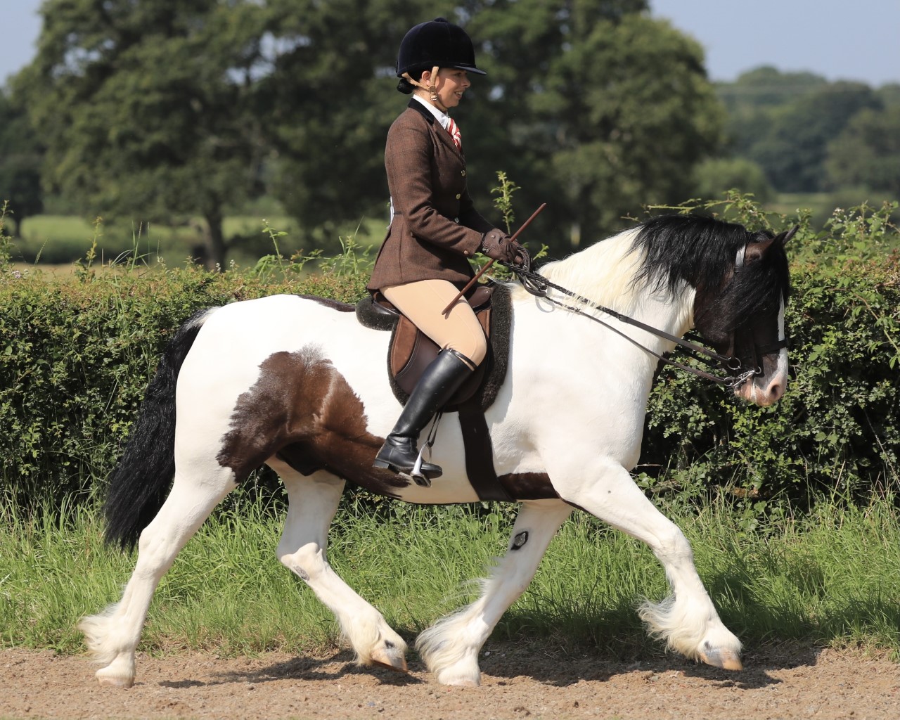 Cally Humphreys overcomes her anxiety to qualify coloured gelding Fouche&amp;rsquo;s Wizard of Oz for the Royal International