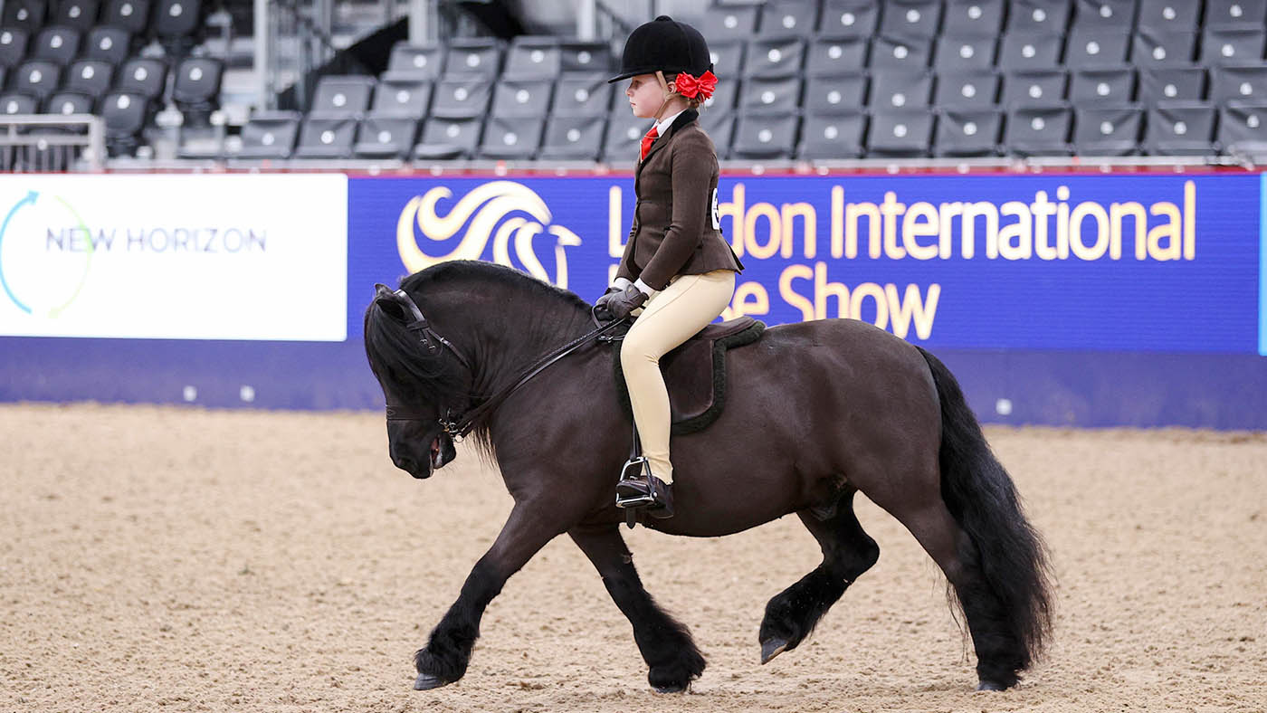 HorseNo_334_LIHS_PN24_182265
