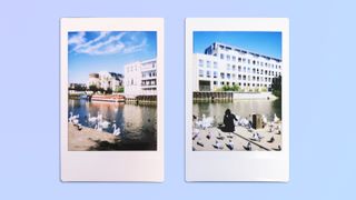 Two photos of ducks and swans swimming in the river Avon in Bath, taken on a Fujifilm Instax mini 12 instant camera