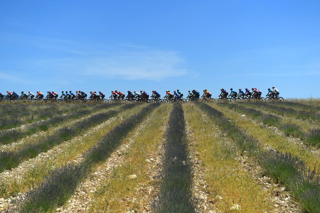 MONT VENTOUX FRANCE JUNE 14 A general view of the Peloton passing through a lavender field during the 4th Mont Ventoux Denivele Challenge 2022 a 153km one day race from VaisonlaRomaine to Mont Ventoux 1893m MVDC on June 14 2022 in Mont Ventoux France Photo by Dario BelingheriGetty Images