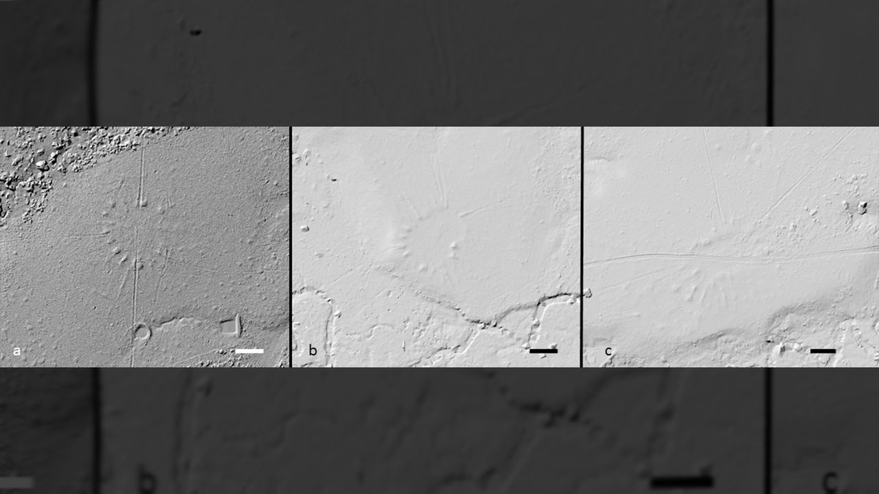 Examples of circular villages that look like the face of clocks. Scale Bar = 50 m.