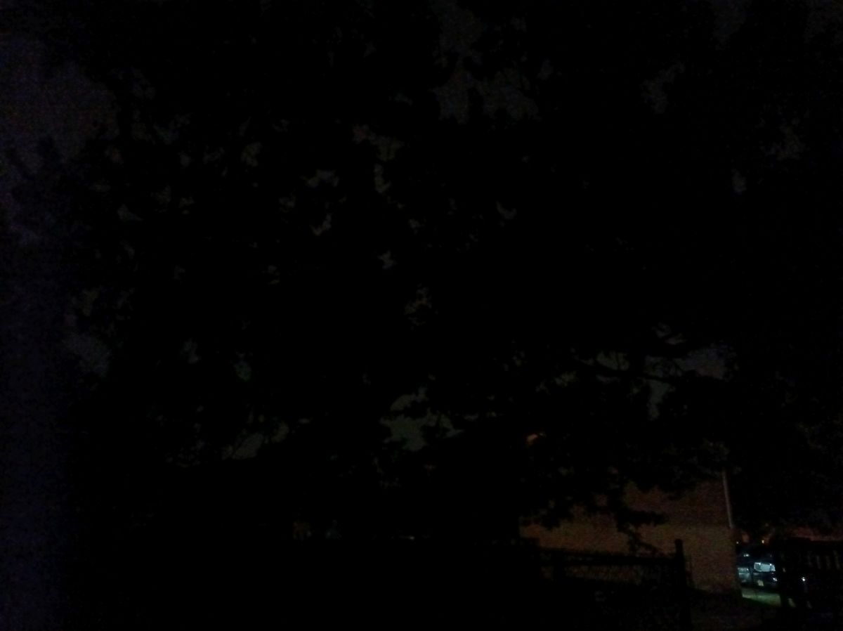 Punkt MC02 Phone low light sample.