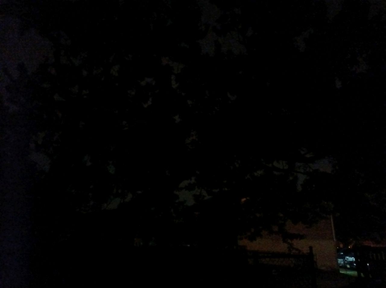 Punkt MC02 Phone low light sample.