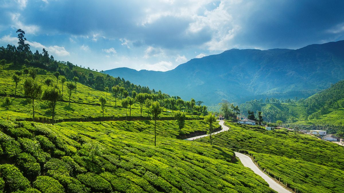 Kerala: one Indian state, four exhilarating ways | The Week