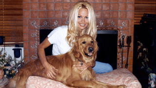 Pamela Anderson on Netflix