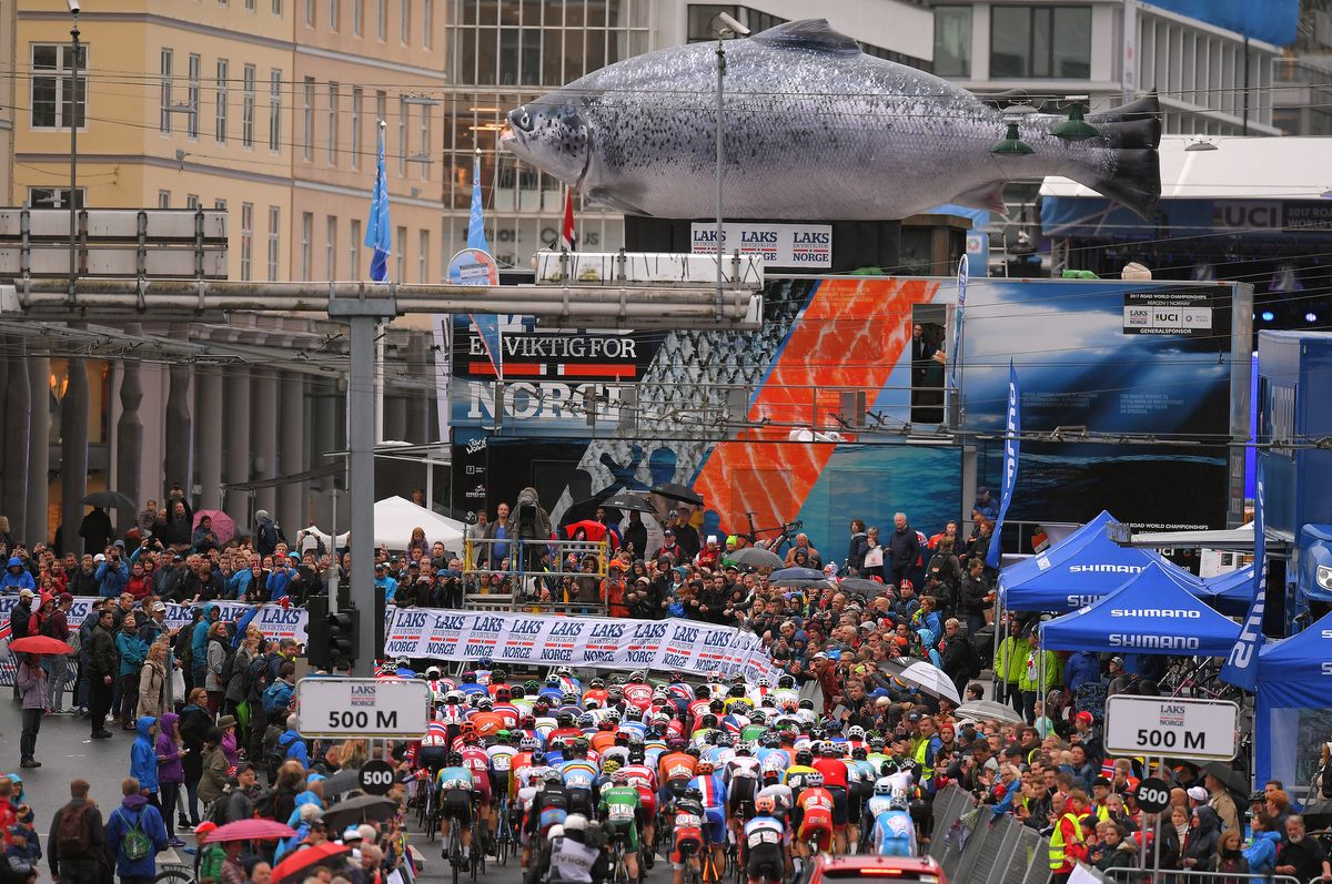 Salmon was unavoidable in Bergen