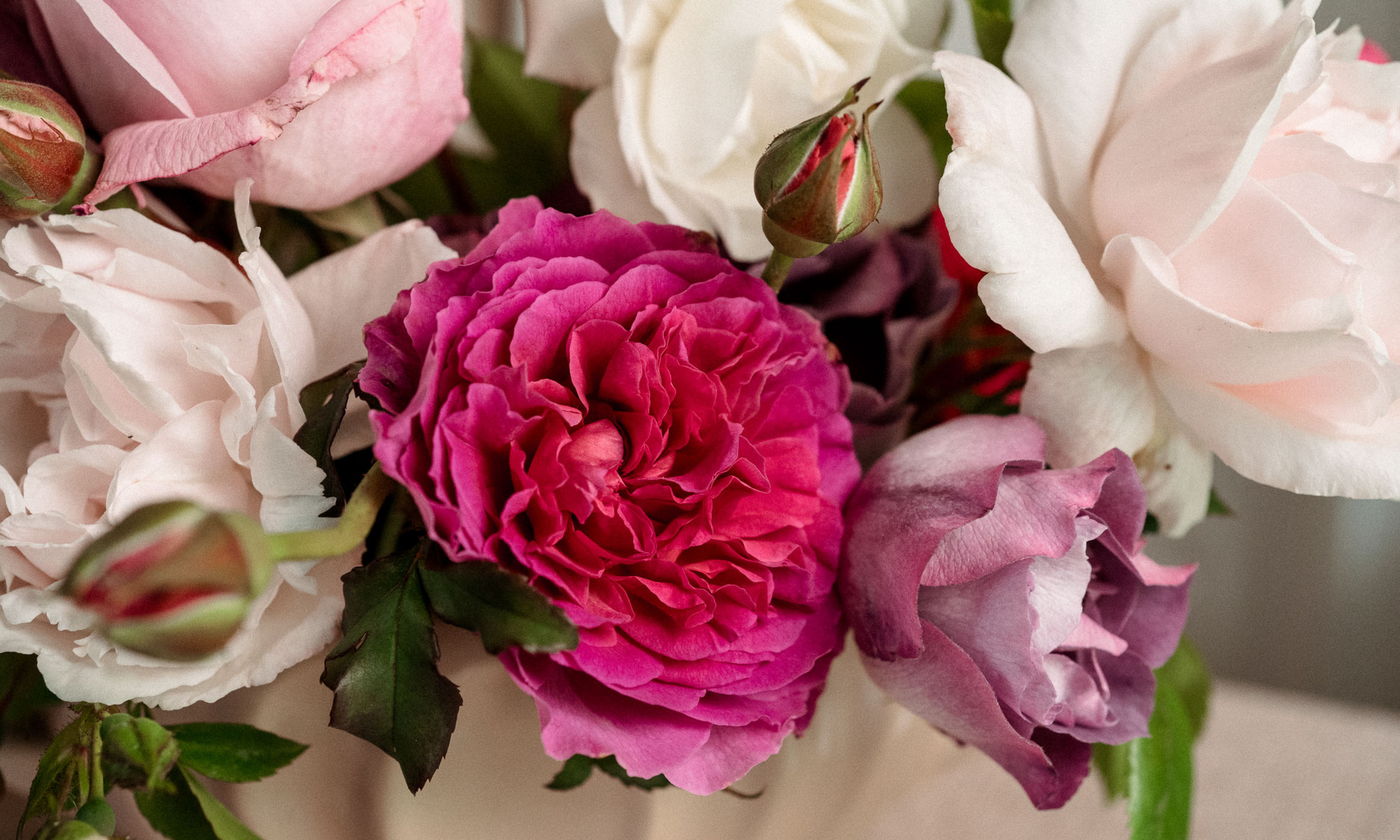 garden rose floral design in pink vintage vase