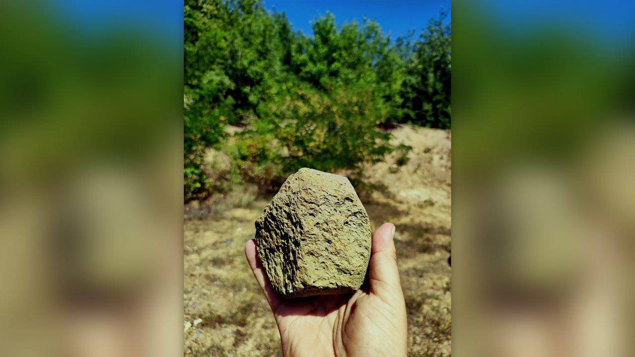 Man holds a round rock in his hand.