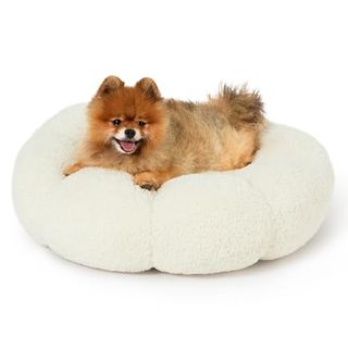 Lesure Calming Small Dog Bed - Flower Donut Round Fluffy Puppy Bed in Plush Teddy Sherpa, Non-Slip Cute Flower Cat Beds for Indoor Cats, Small Pet Bed Fits Up to 25 Lbs, Machine Washable, Cream 23