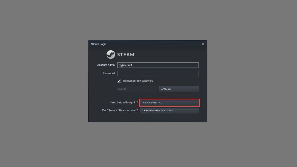 Steam password