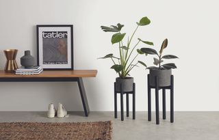 industrial inspired planter by made.com