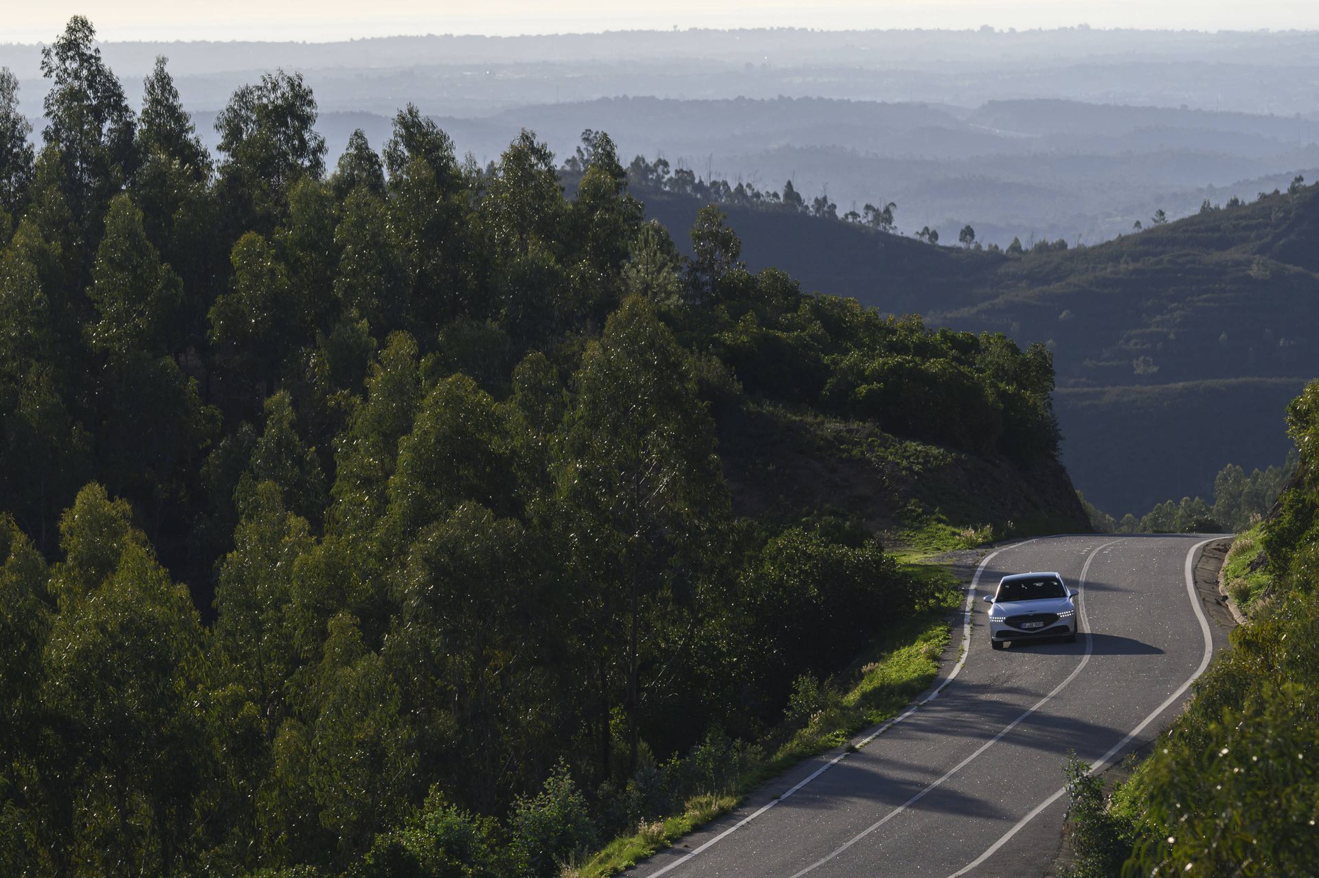 Genesis G90 on road amid trees