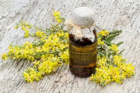 Mullein Herbs And Jar Of Treatment