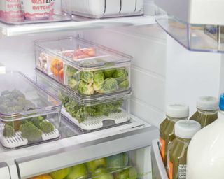 refrigerator with clear containers