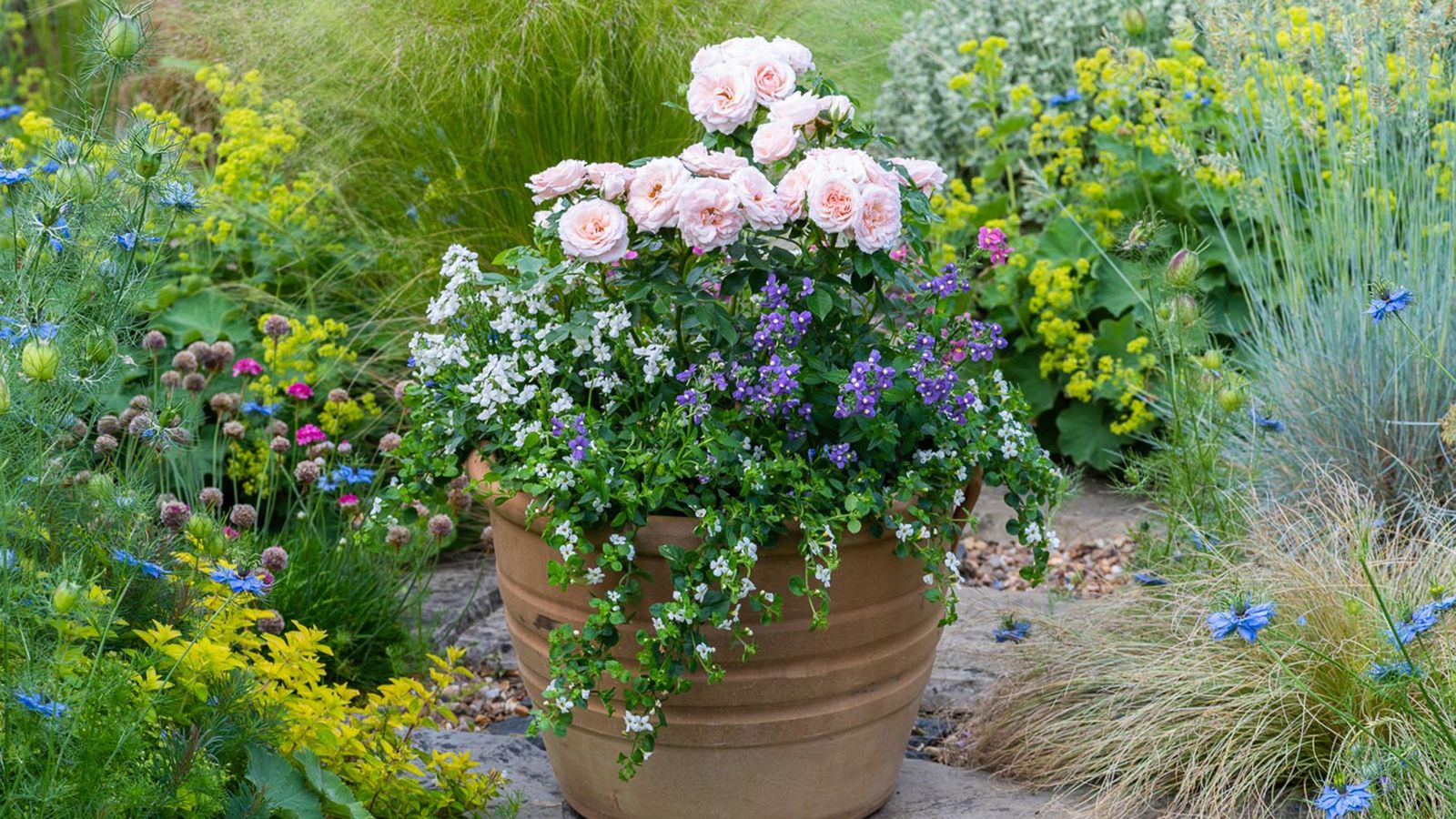 How to plant flowers in pots stepbystep guide to patio containers